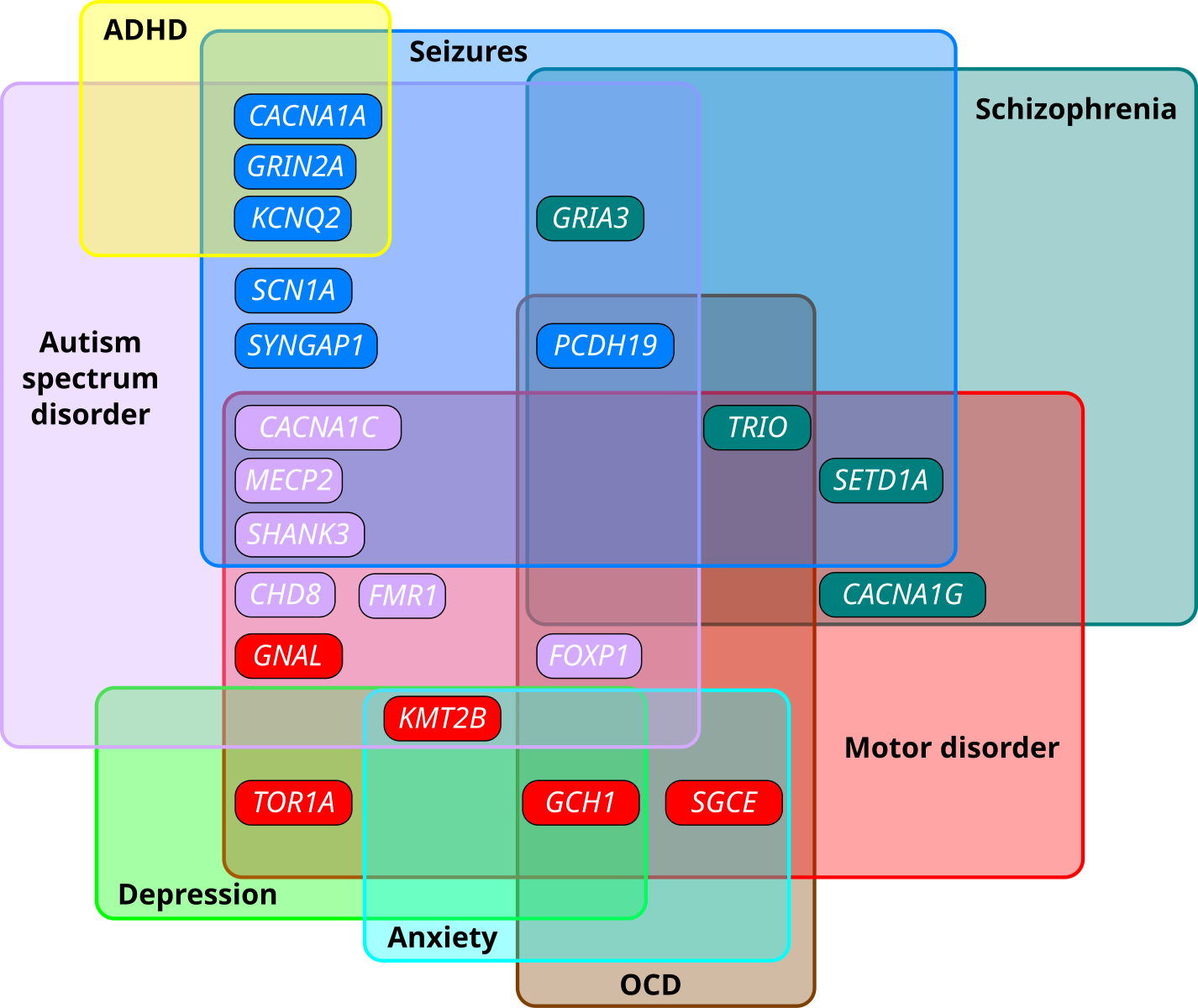 Euler diagram showing overlapping clinical phenotypes in genes associated with monogenic forms of autism spectrum disorder (ASD), dystonia, epilepsy and schizophrenia